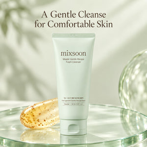 mixsoon Master Gentle Recipe Foam Cleanser 150ml
