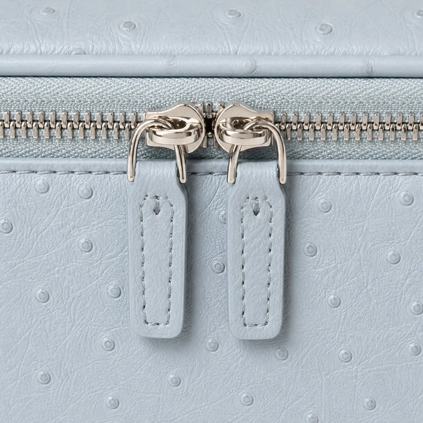 Baby Blue Ostrich Vanity Case
