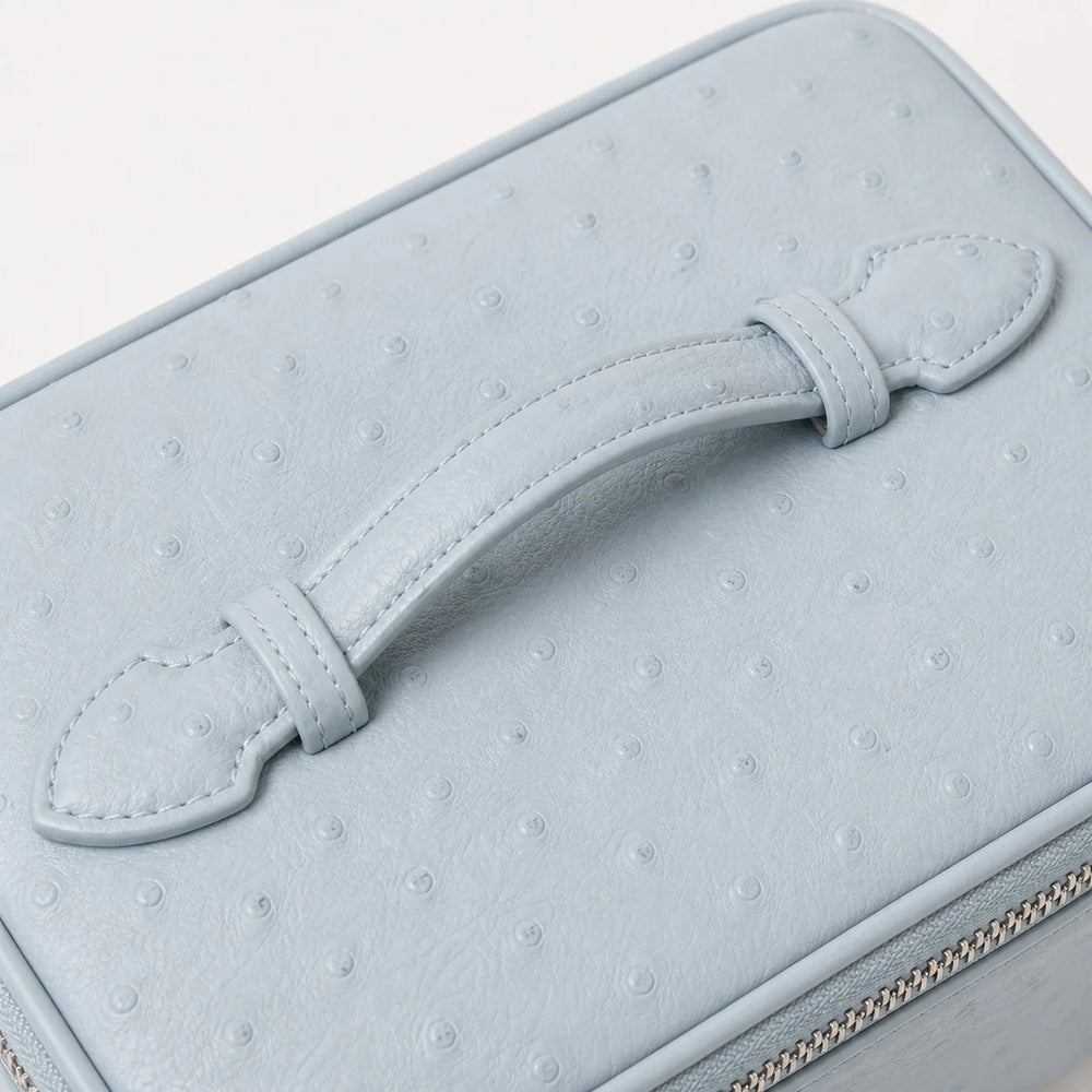 Baby Blue Ostrich Vanity Case
