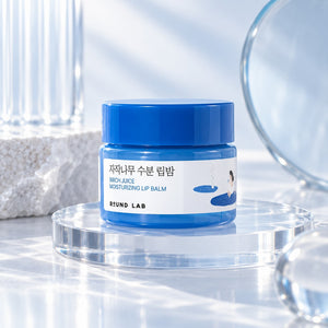 ROUND LAB Birch Juice Moisturizing Lip Balm 20g